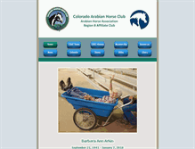 Tablet Screenshot of cahc.info